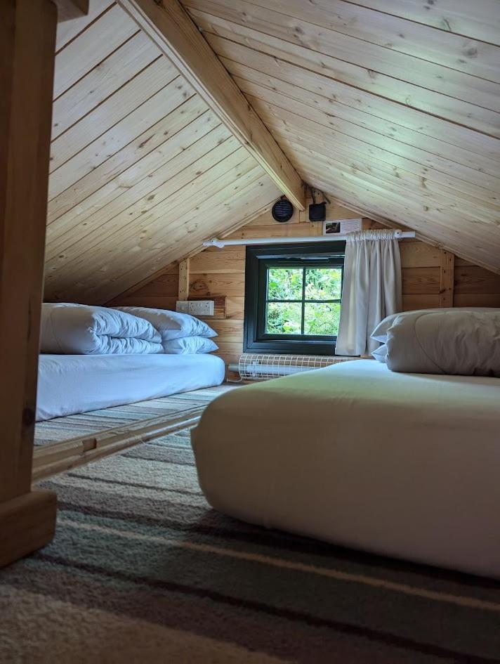 'Monktonmead Lodge' In Secluded Setting, With Private Indoor Pool. Райд Екстер'єр фото